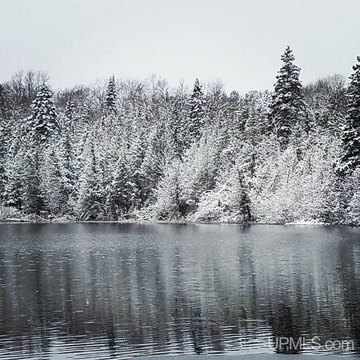 Tahquamenon Riverfront Acreage For Sale