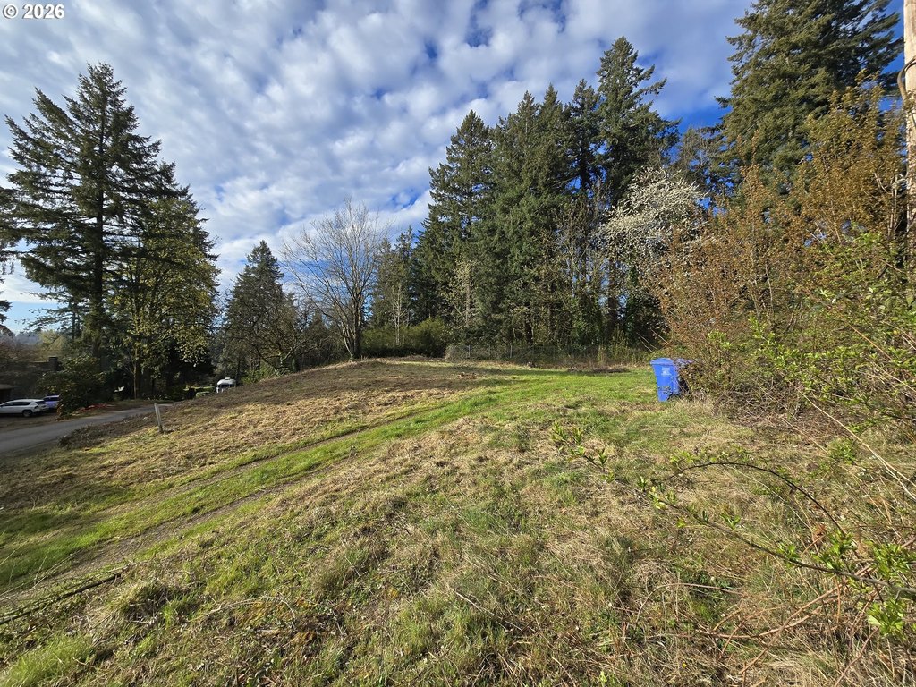 Picture 24