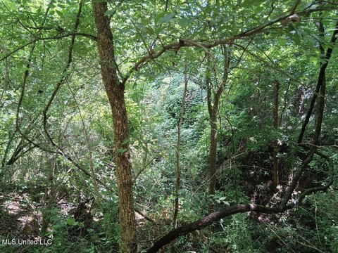Land in Natchez, Mississippi
