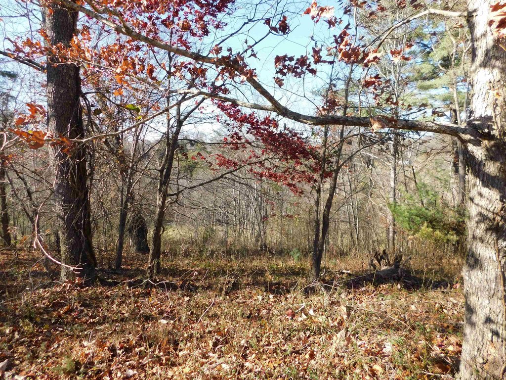 Picture 7