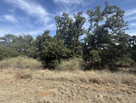 LAND - Kingsland, TX