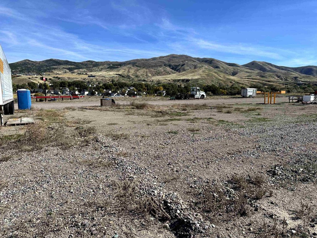 Picture 5