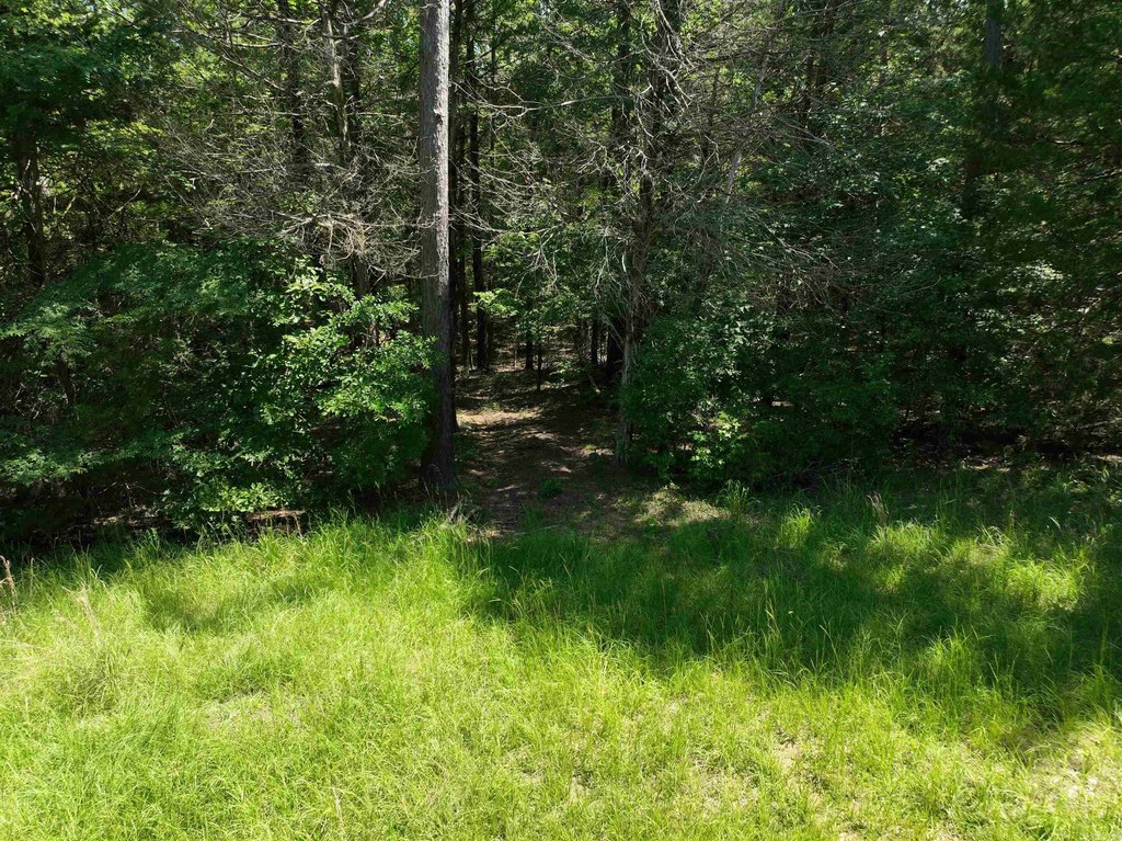 Picture 16