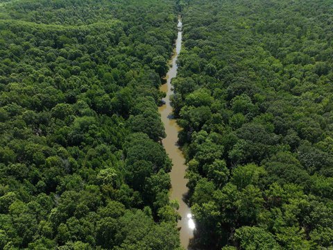 Wooded Land with Creek Frontage