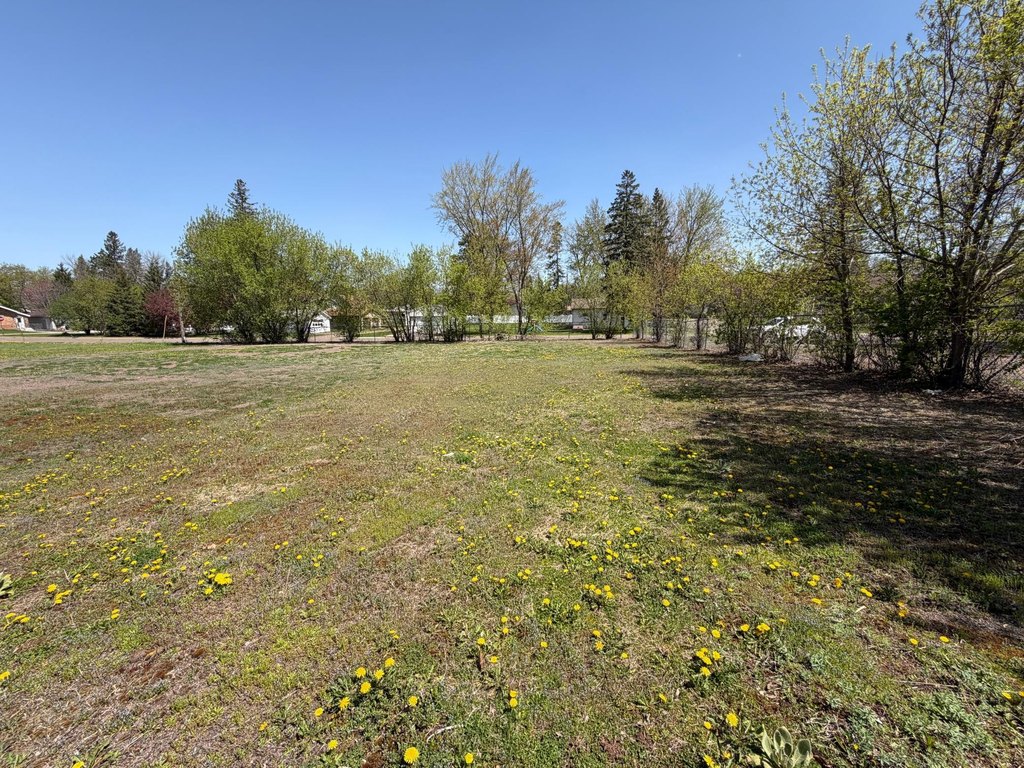 Picture 6