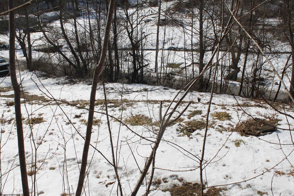Picture 6