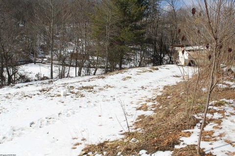 Landscaped Lot in Camden on Gauley
