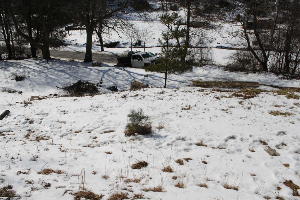Picture 8
