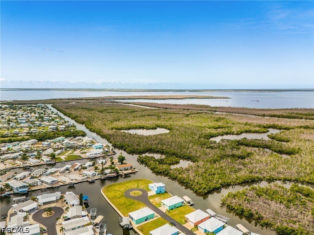 Picture 3