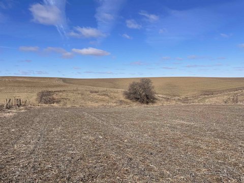 30 Acres of Dubuque Land