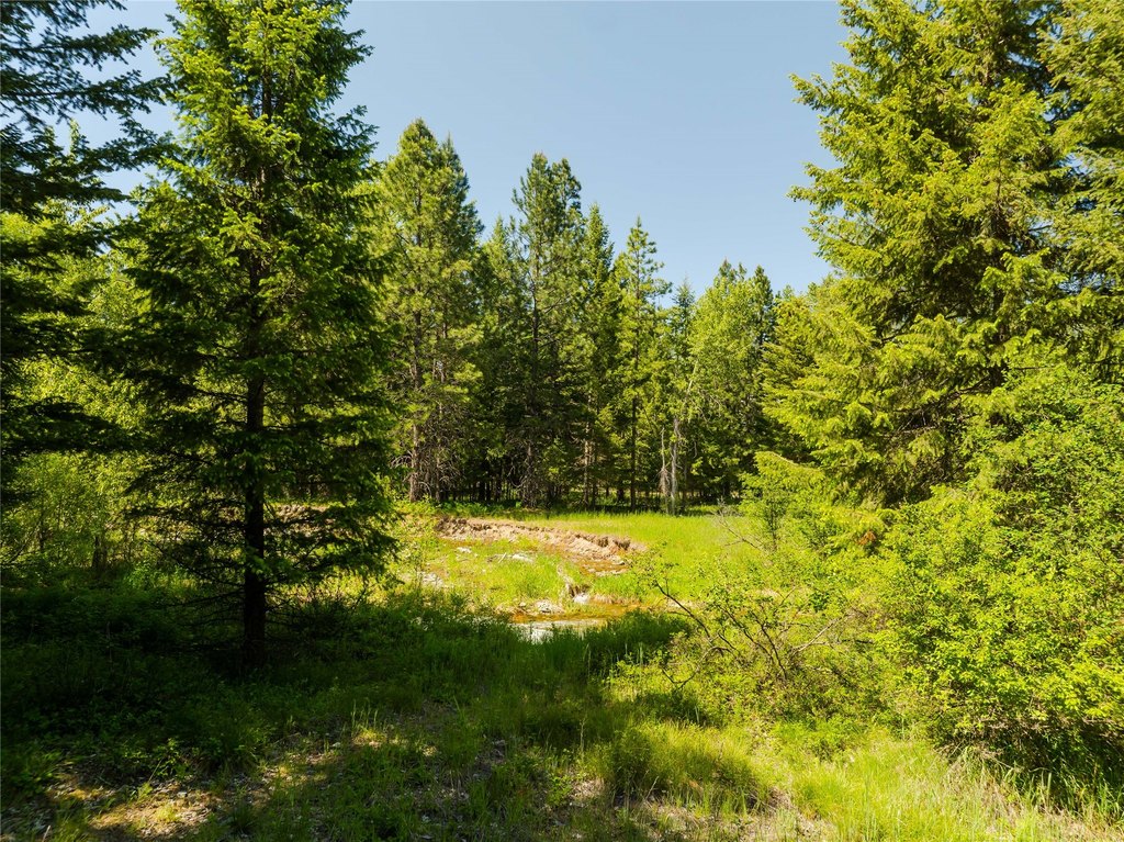 Picture 22