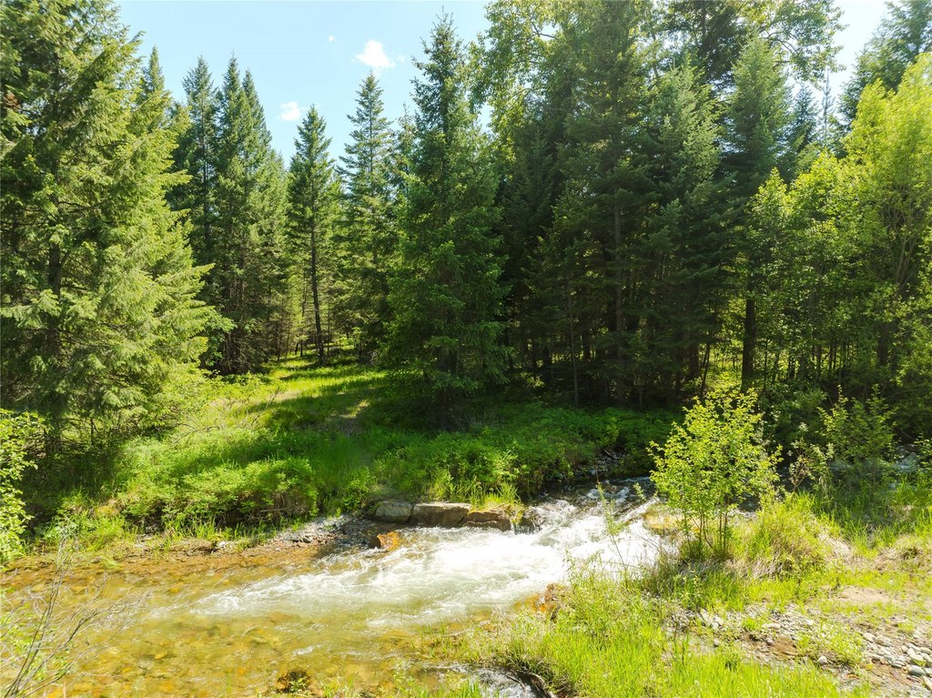 Picture 26
