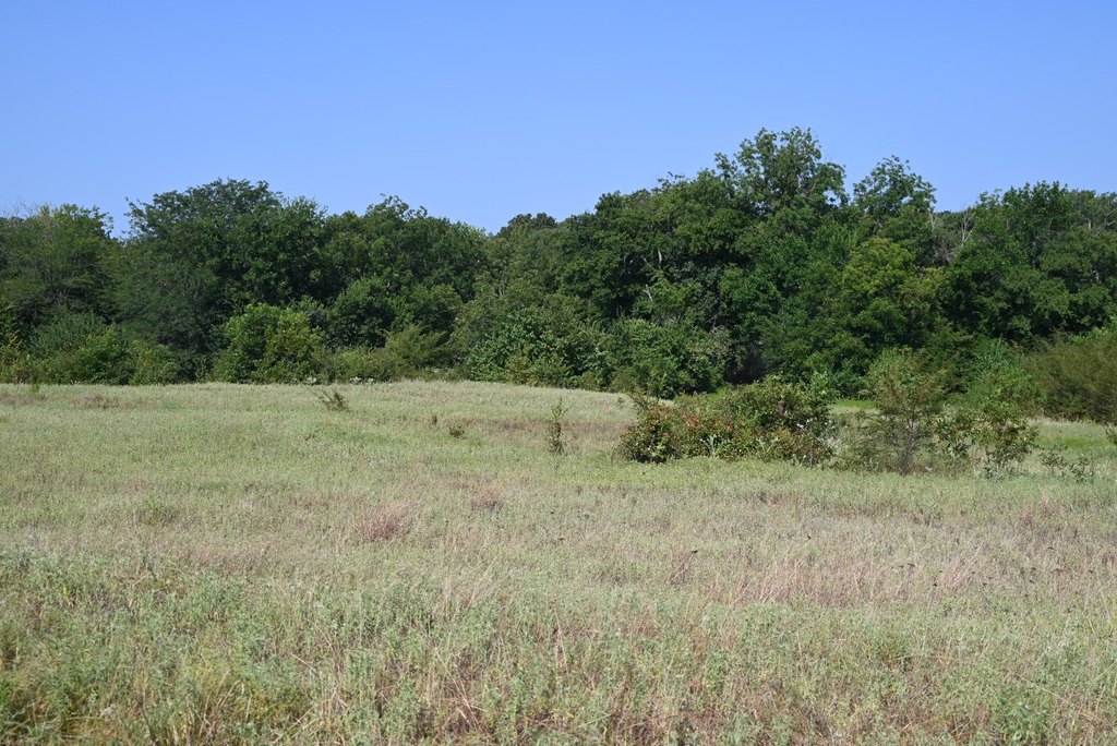 Picture 26