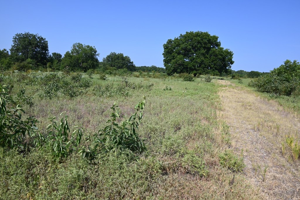Picture 28