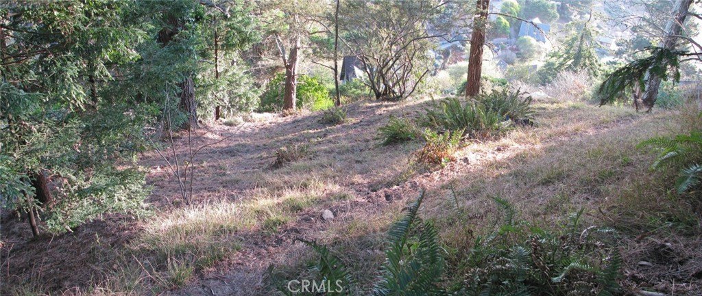 Picture 8
