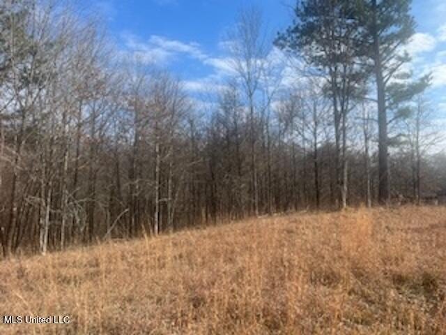 29 Acres in Desoto County