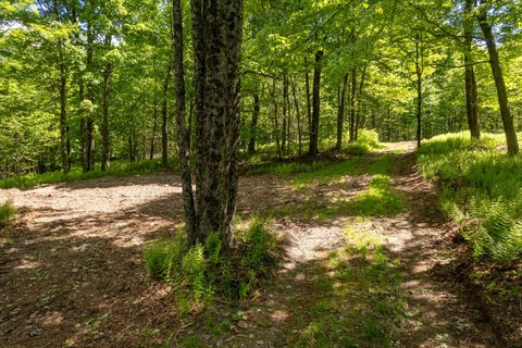 Mountain-Style Recreation Land