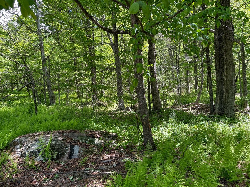 Picture 4