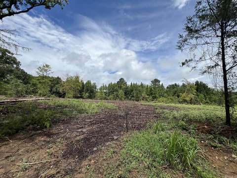 Vacant Land, Vilonia, AR