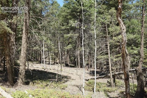 LAND - Florissant, CO