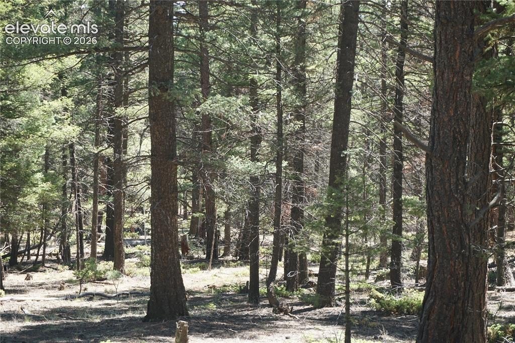 Picture 10