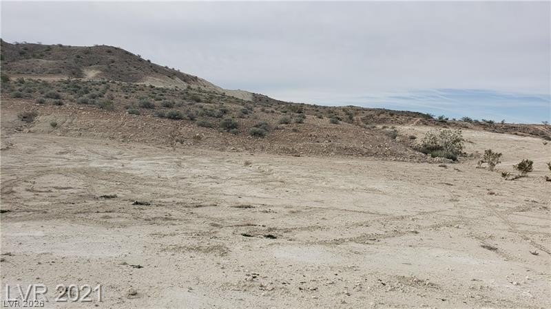 Picture 19
