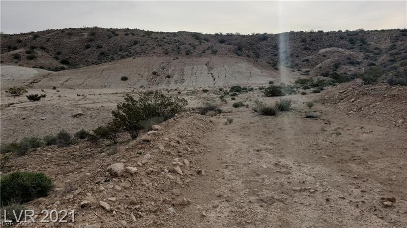 Picture 22