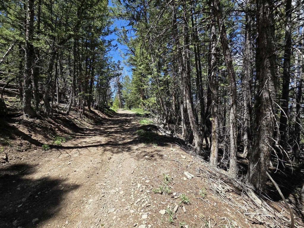 Picture 16