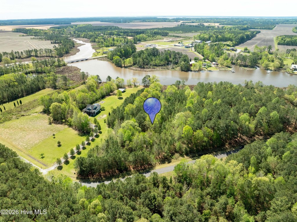 Picture 3