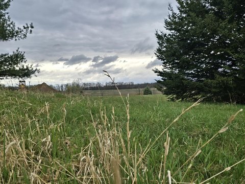 Land with Preserved Legacy Views