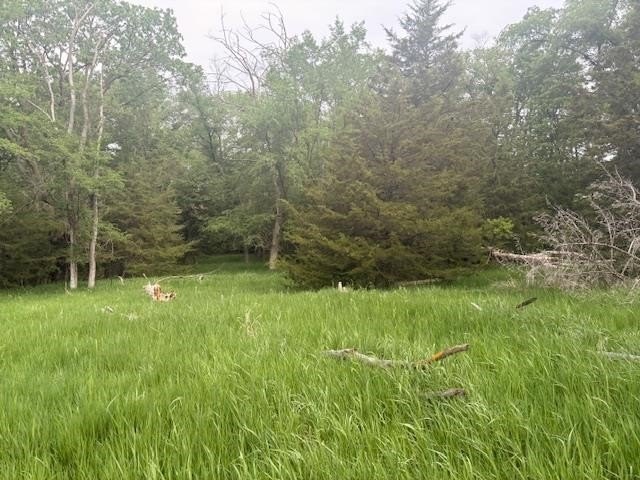 Picture 3