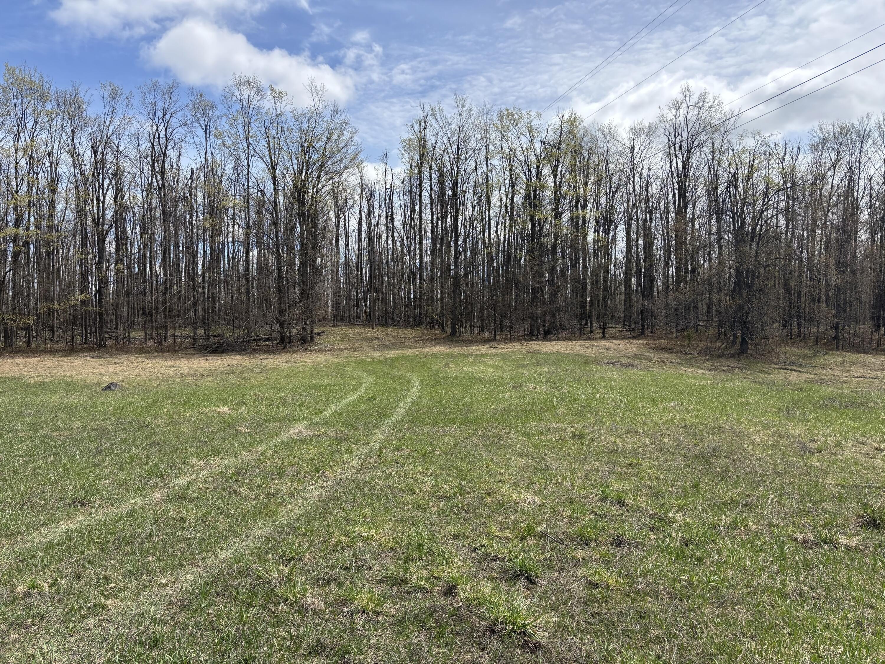 Secluded Wooded 10-Acre Parcel