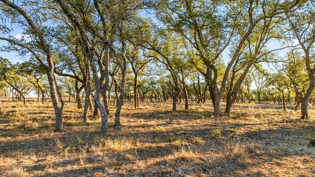 10 Acres of Hill Country Land
