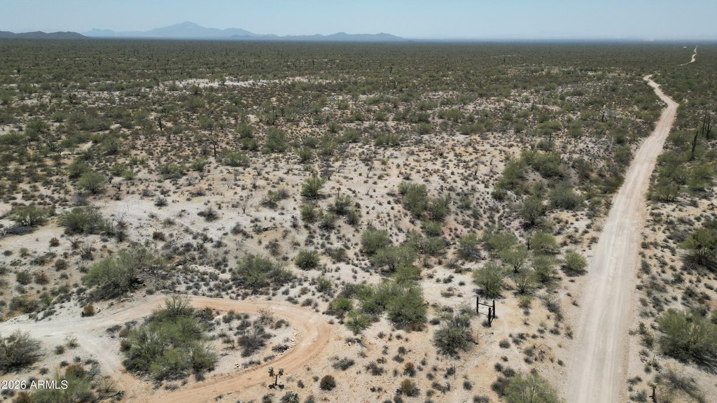 Picture 23