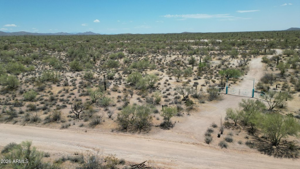 Picture 15