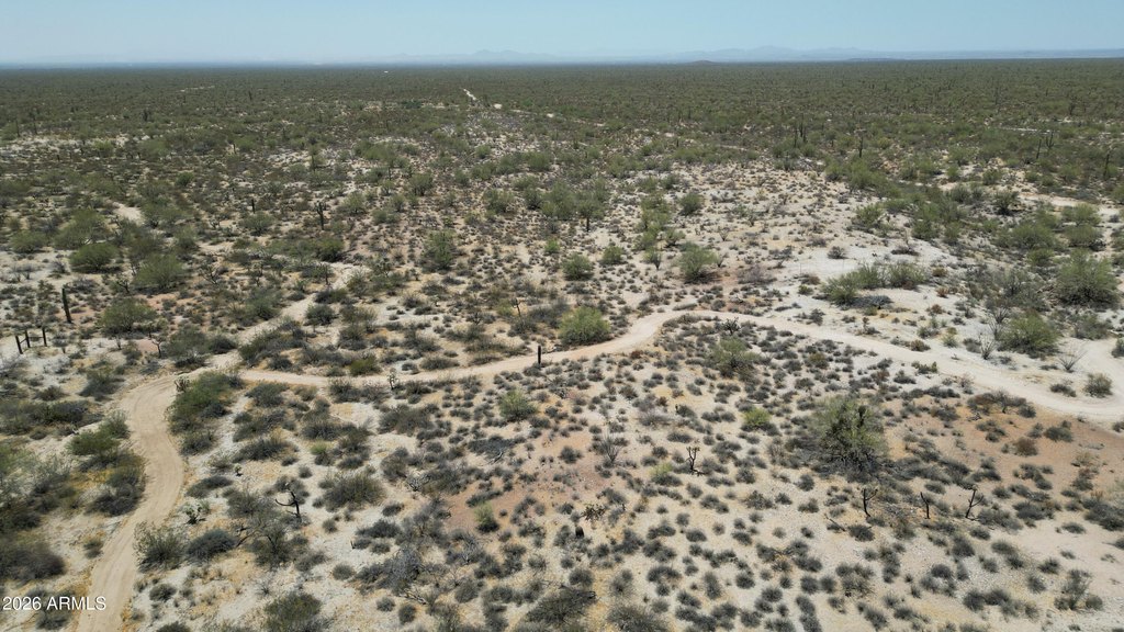 Picture 25