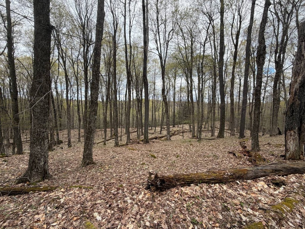 Picture 41