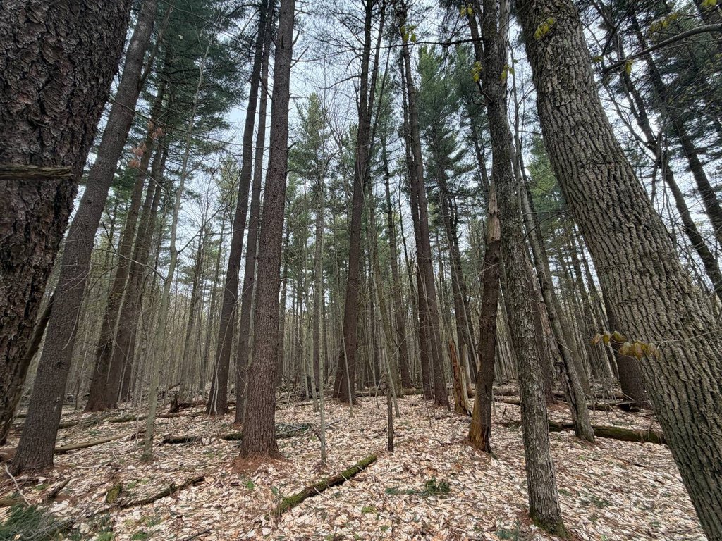 Picture 30