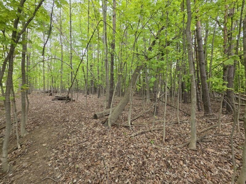 Picture 7
