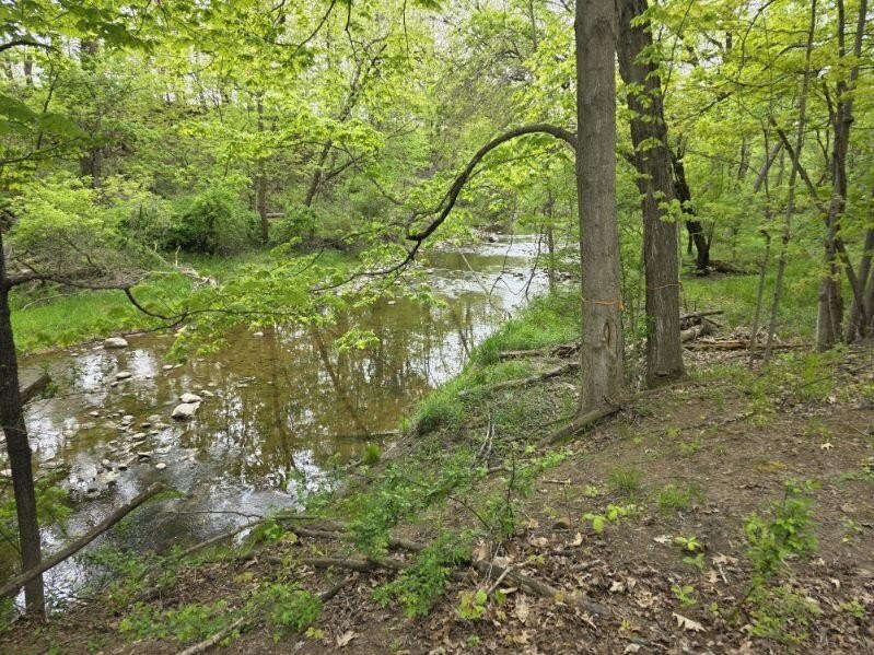 Picture 13