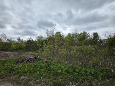 Holland Land with River Frontage