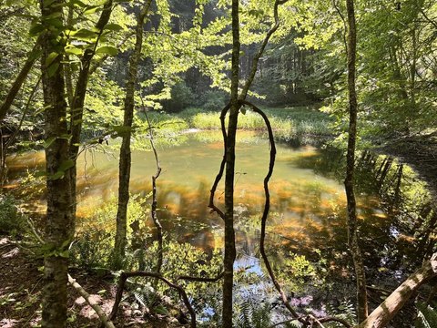Recreational Land with Streams