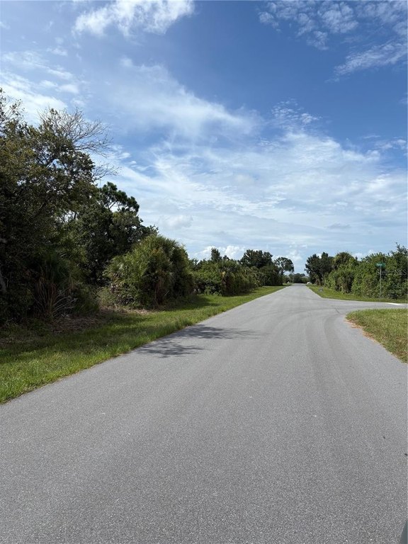 Picture 5