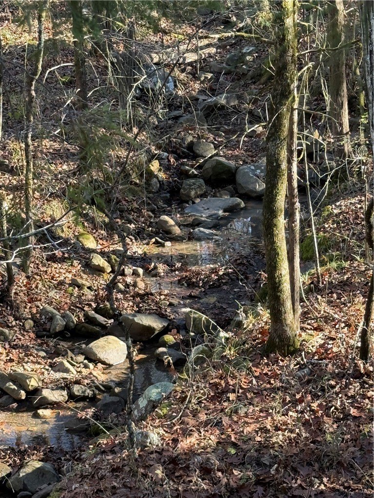 12 Acres Land Near Nebo