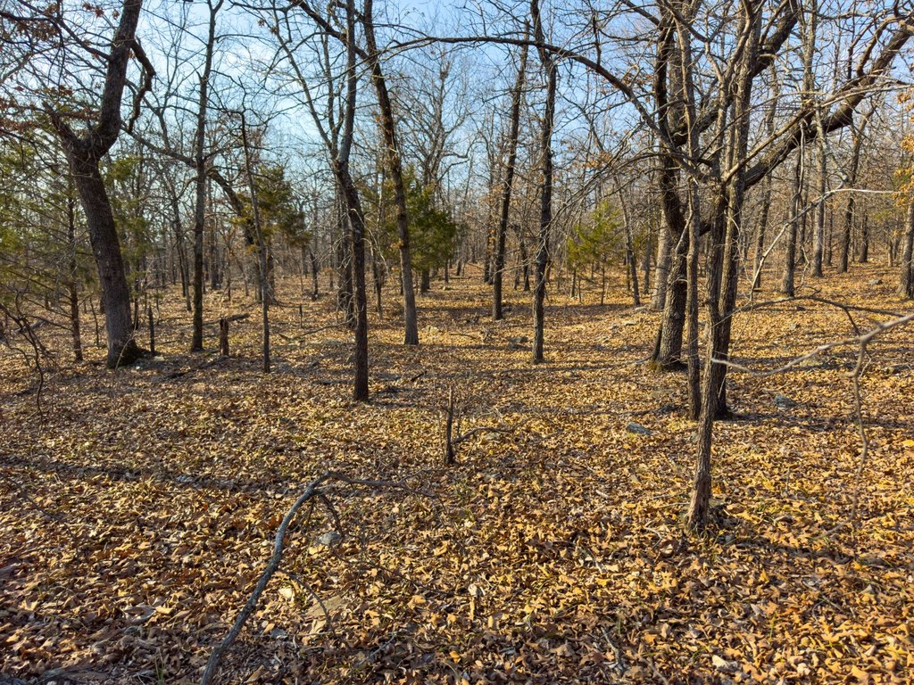 Picture 23