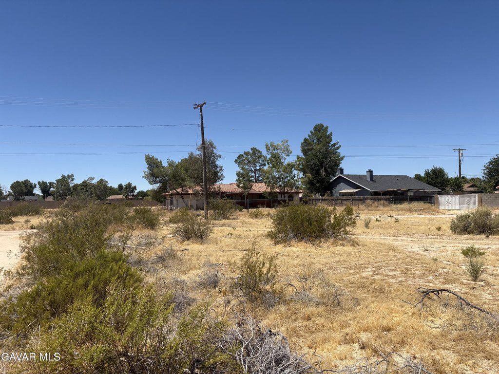 Picture 6