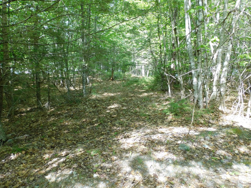 Picture 7