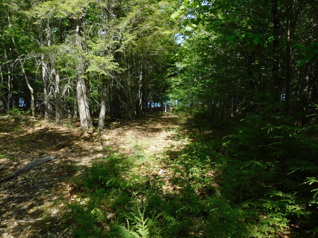 Picture 8