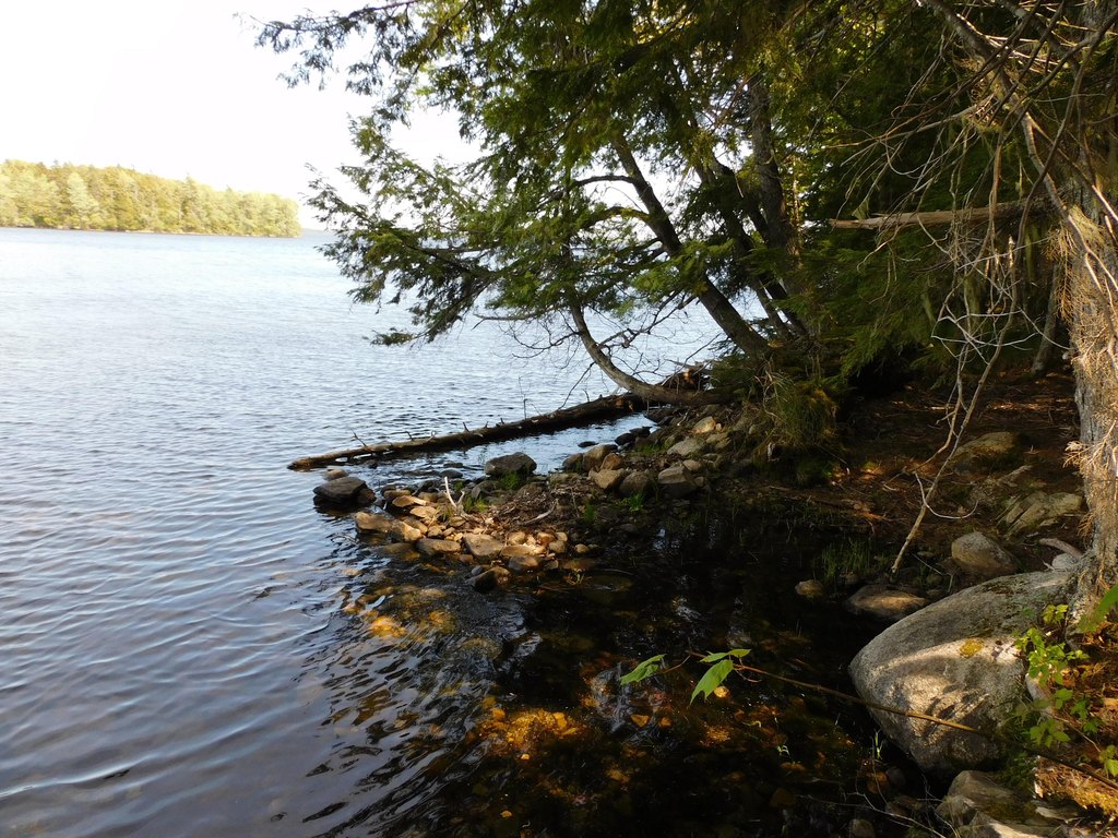 Picture 5