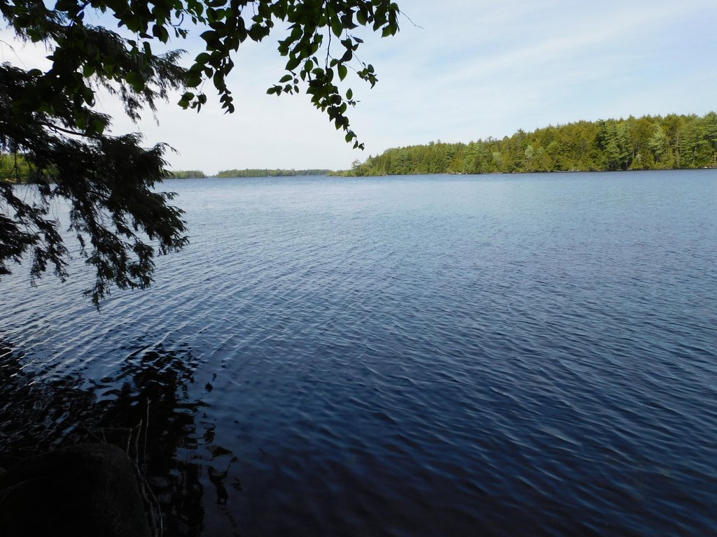 Picture 4